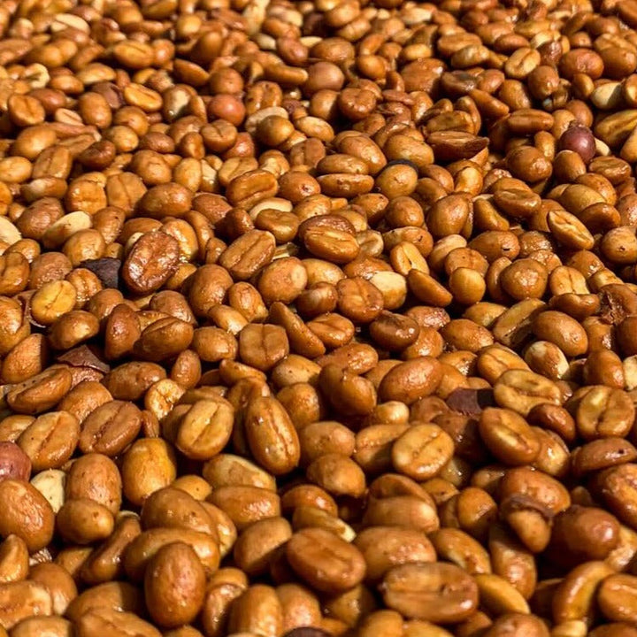 ¿Qué Es el Proceso Honey y Por Qué Revoluciona el Sabor del Café?