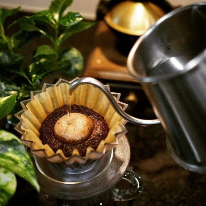 Café de Origen Único vs Blend: ¿Cuál Elegir y Por Qué?
