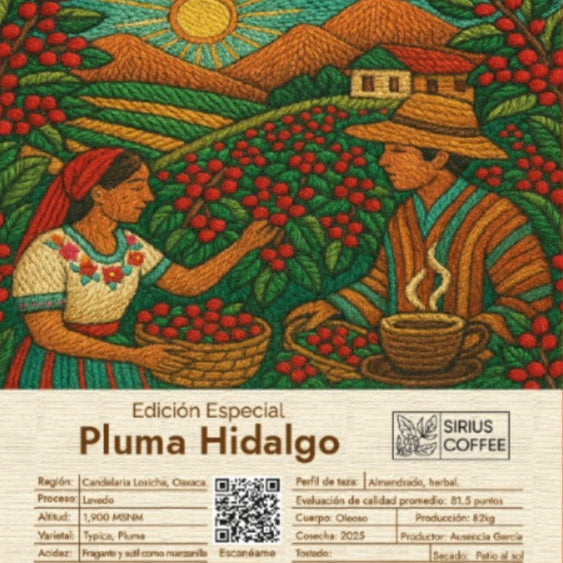 Edición Especial Pluma Hidalgo