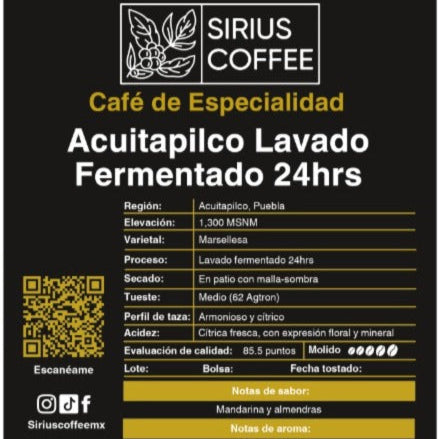 Acuitapilco Lavado Fermentado 24hrs