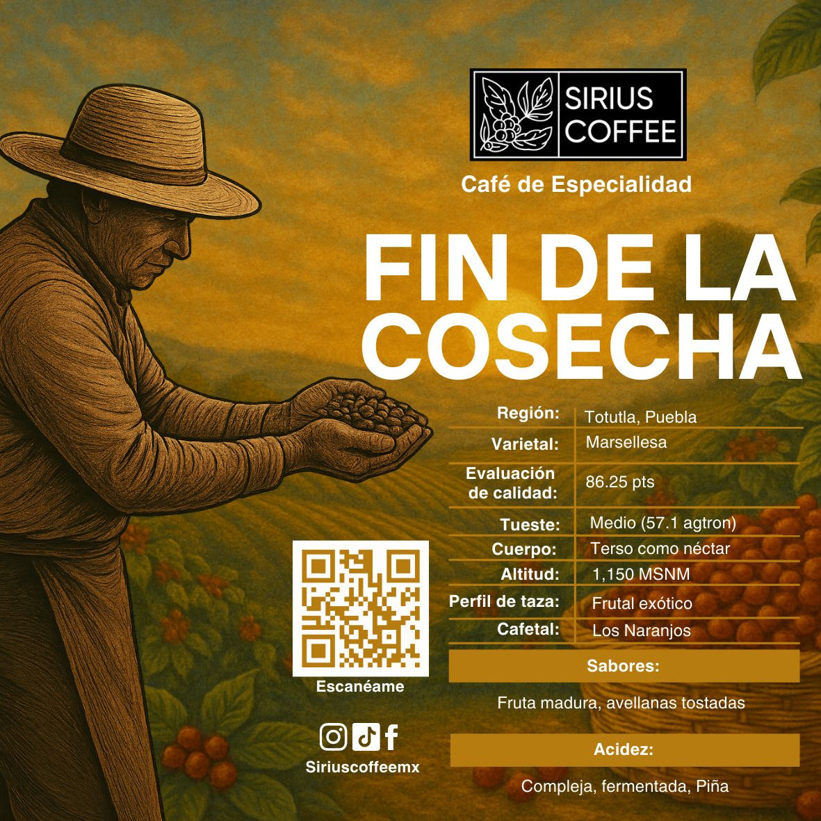 Edición Especial Fin de la Cosecha