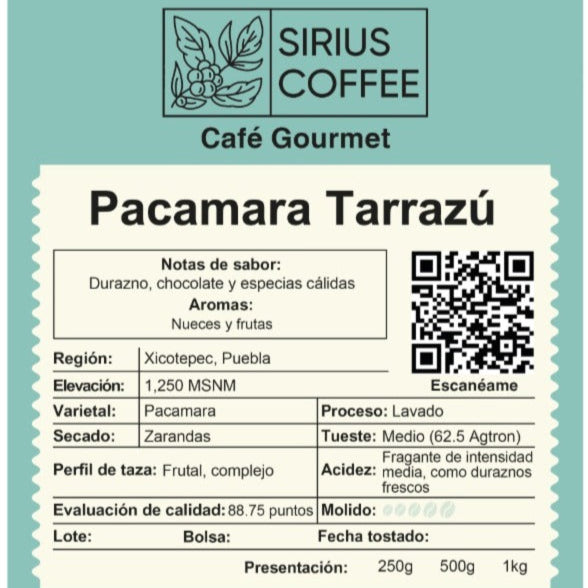 Pacamara Tarrazú