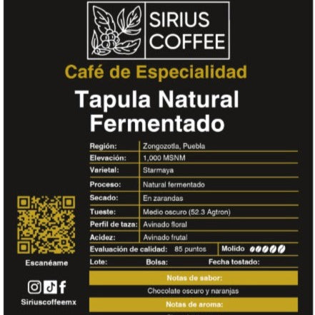 Tapula Natural Fermentado