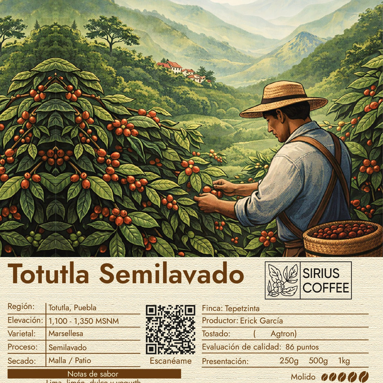 Café Totutla Semilavado