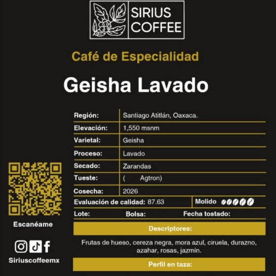 Café Geisha Lavado