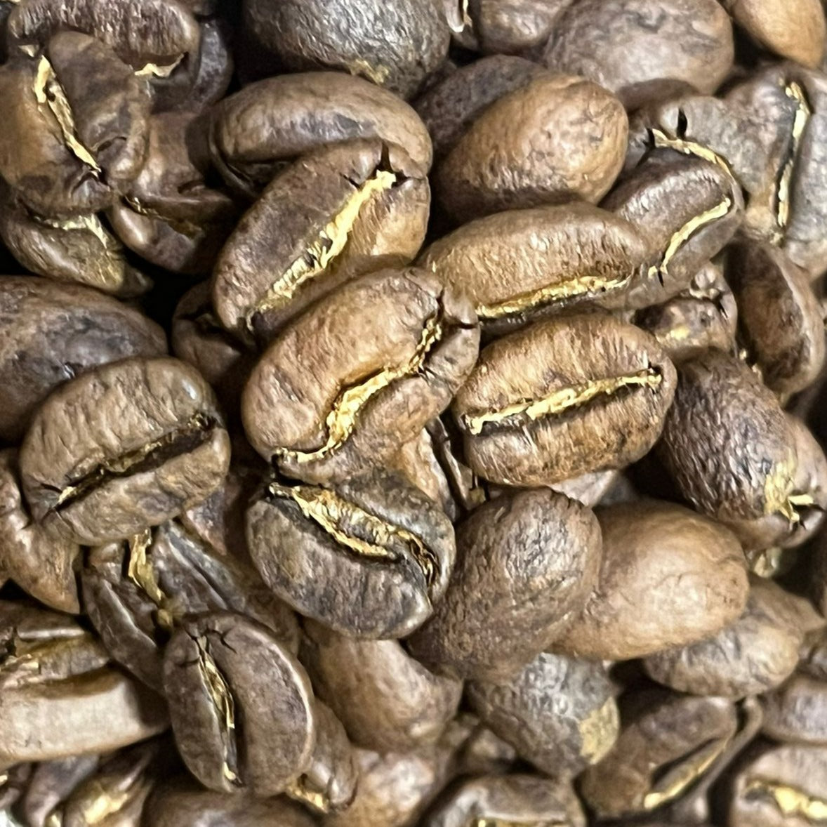 Acuitapilco Lavado Fermentado 24hrs