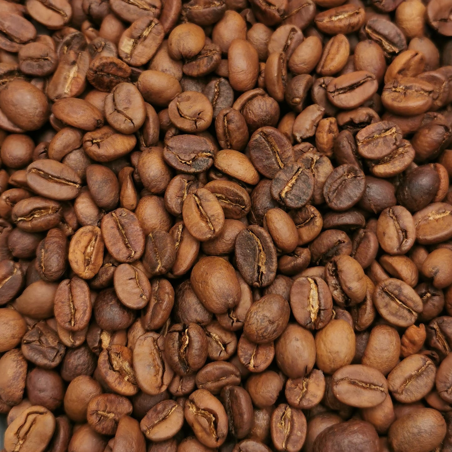 Oaxaca Natural Fermentado