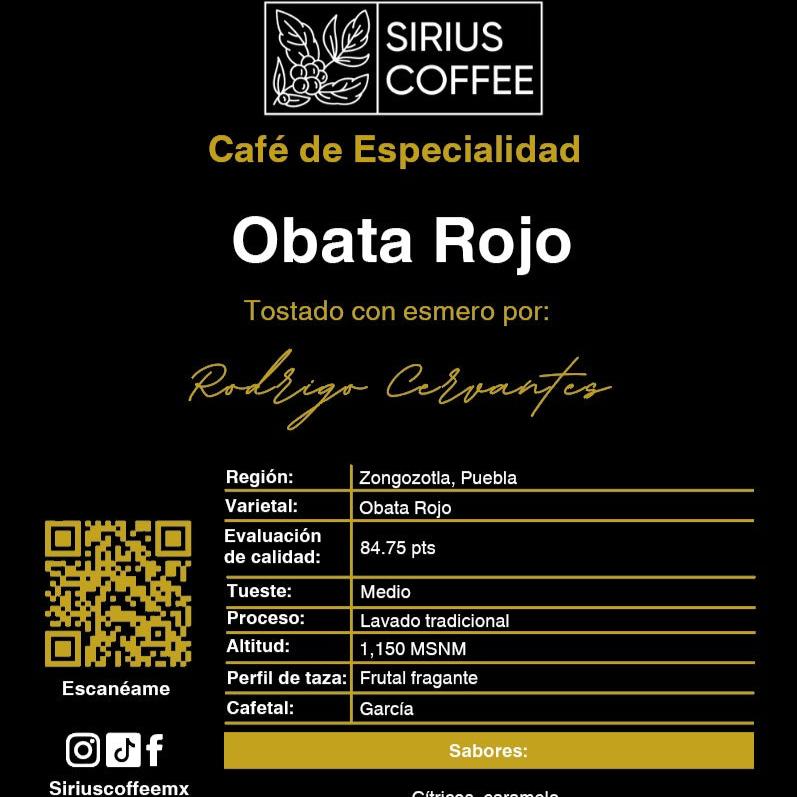 Obata Lavado