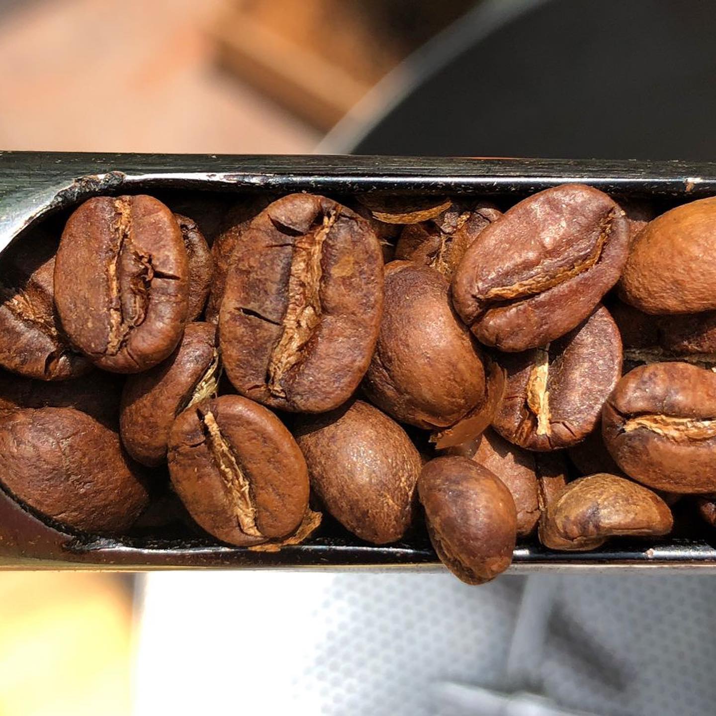 Combo Cafés Premium