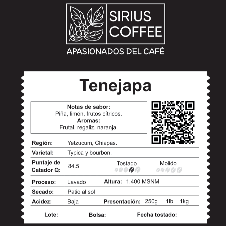 Tenejapa