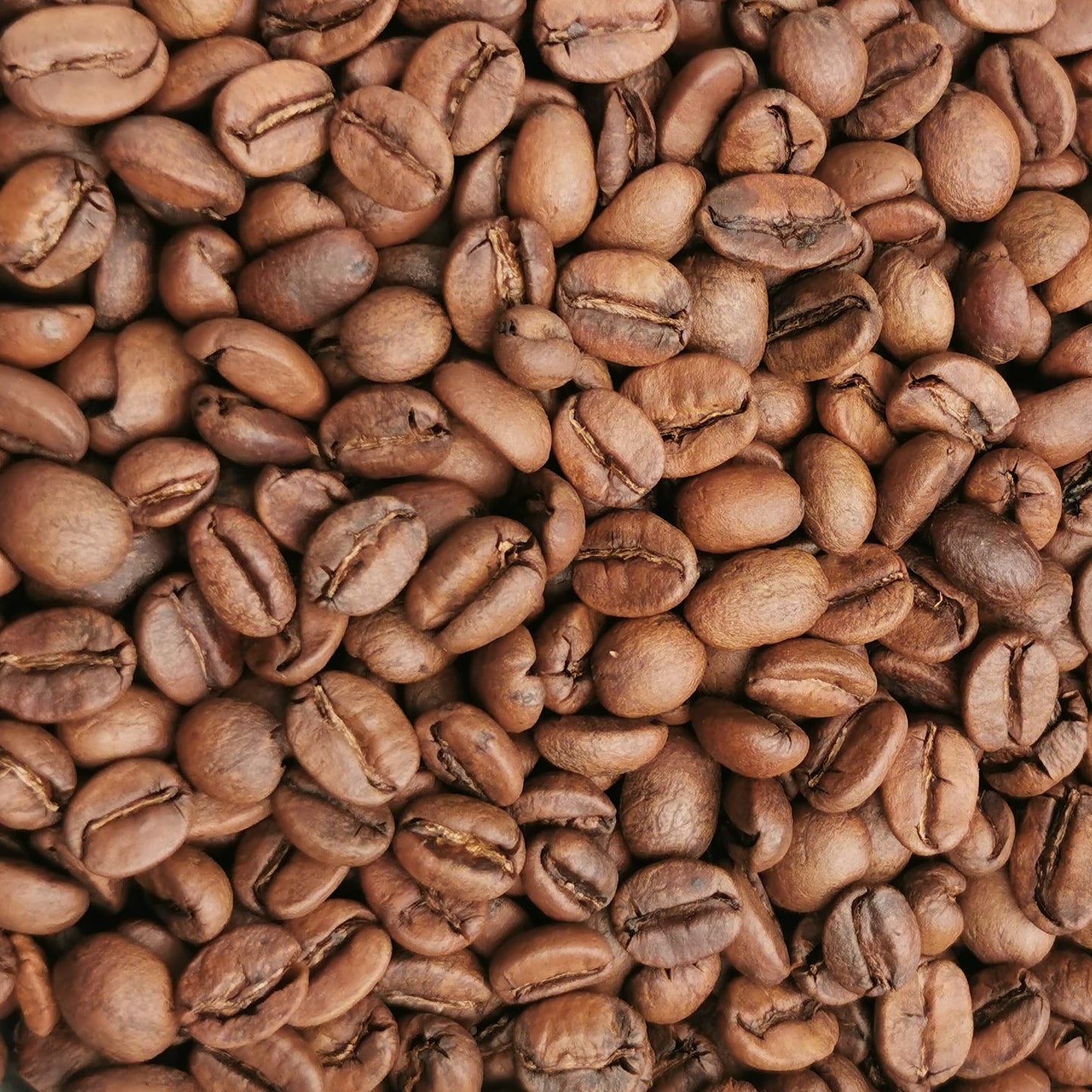 Set 5 Muestras de Café (500g total)