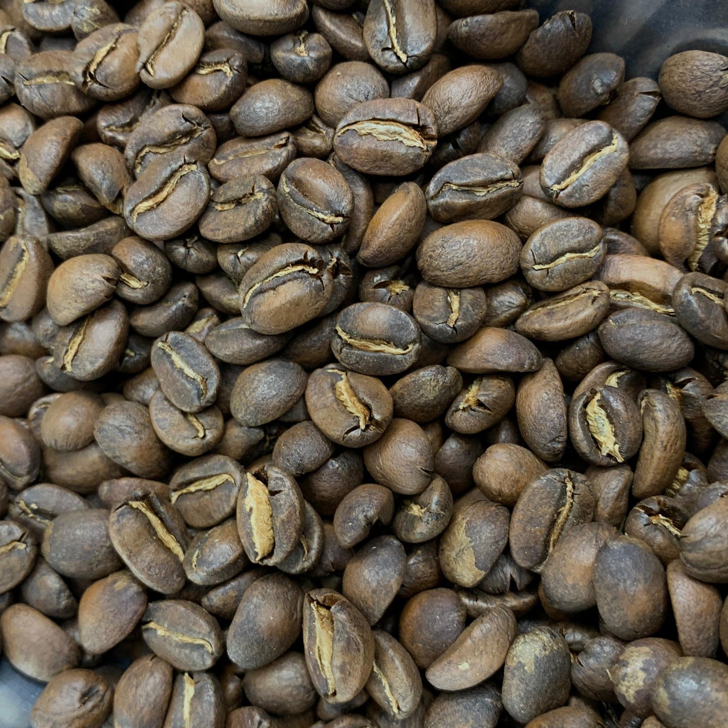 Café tostado medio de oaxaca