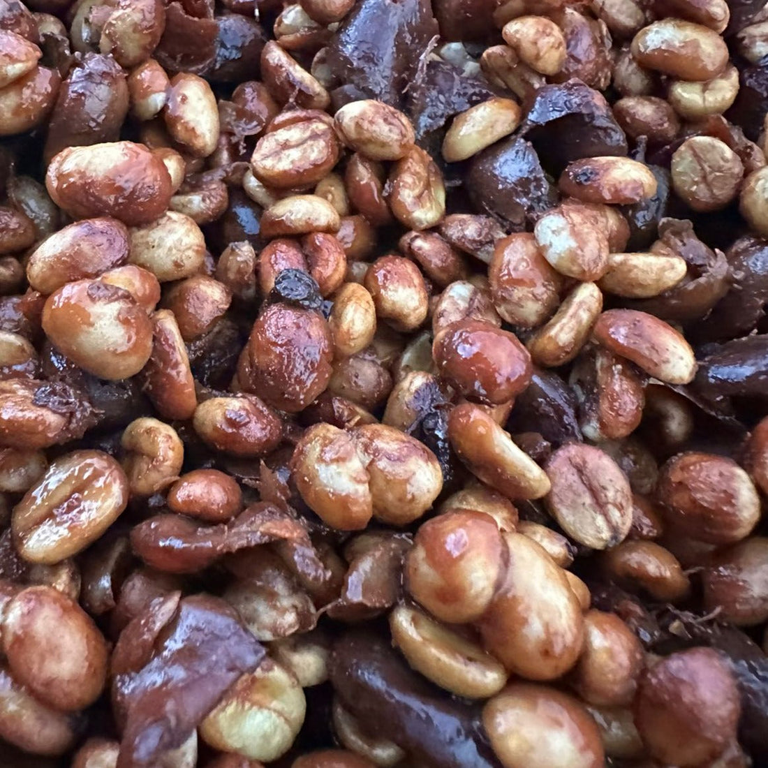 Fermentaciones: ¿Cómo los Microorganismos Están Cambiando el Café?