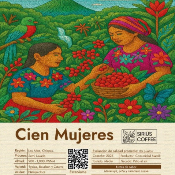Café y Sostenibilidad: Cómo Sirius Coffee Apoya a los Productores Locales.