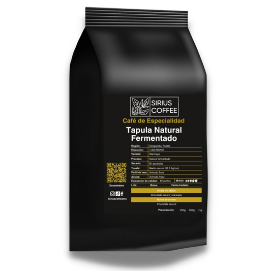 Tapula Natural Fermentado