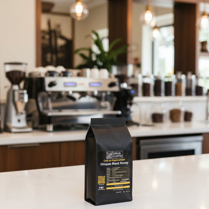 Café Chiapas Black Honey