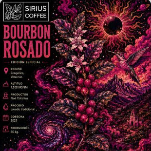 Café Bourbon Rosado