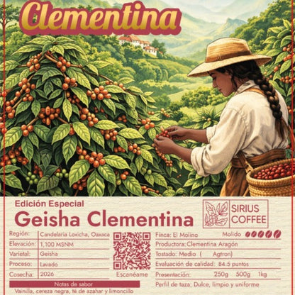 Café Geisha Clementina