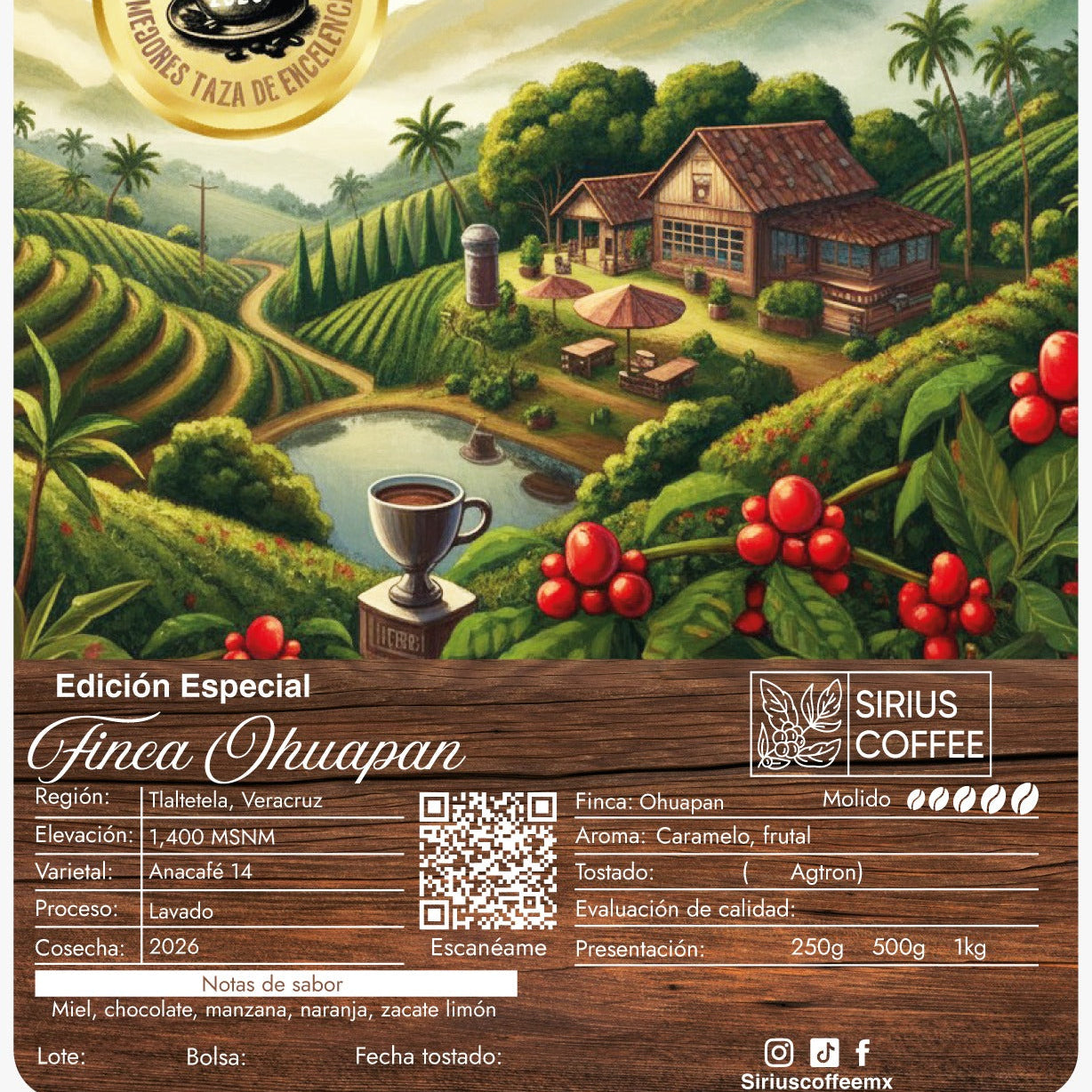 Café Finca Ohuapan Anacafé 14