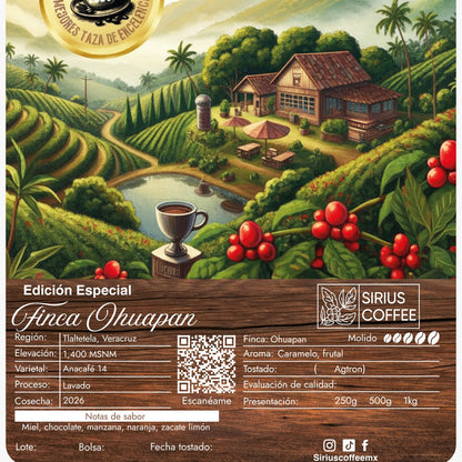 Café Finca Ohuapan Anacafé 14