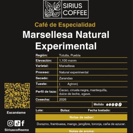 Café Marsellesa Natural Experimental