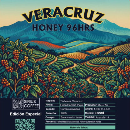 Café Veracruz Honey 96hrs