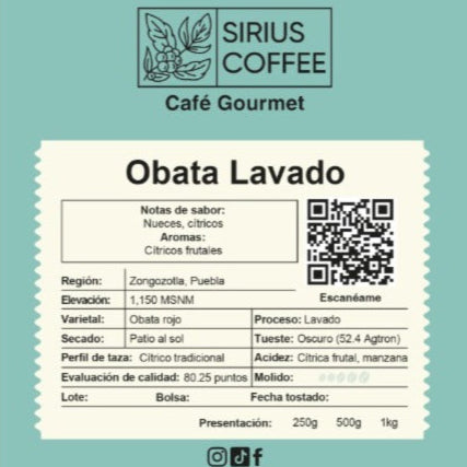 Obata Gourmet