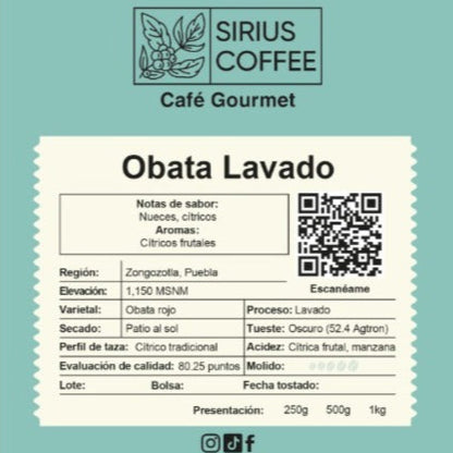 Obata Gourmet
