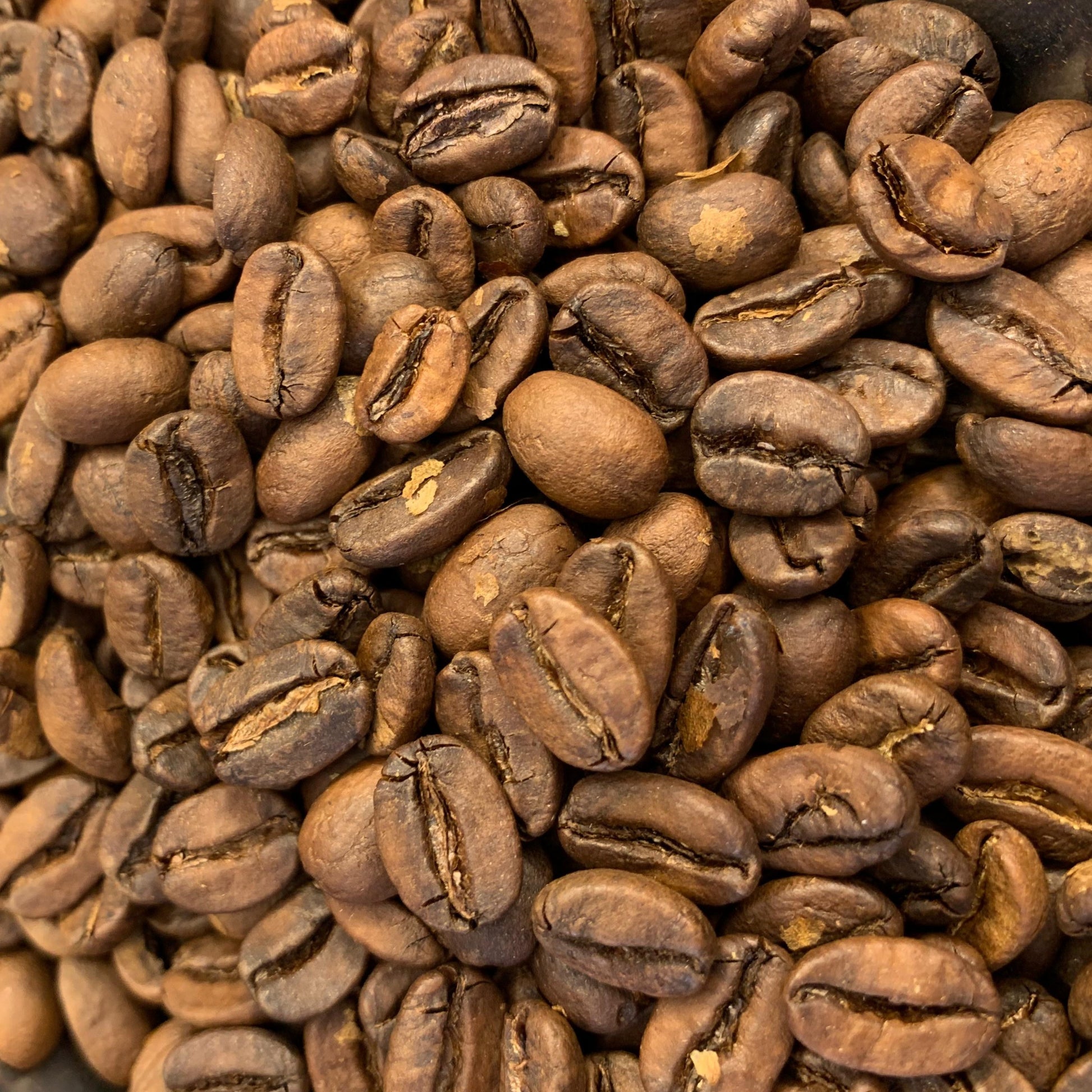 café chiapaneco tostado medio