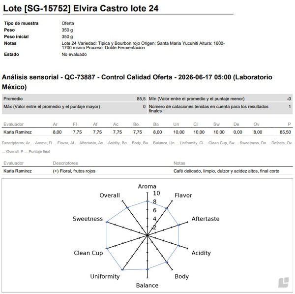 Elvira Castro | Lote 24