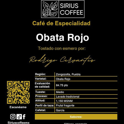Obata Lavado